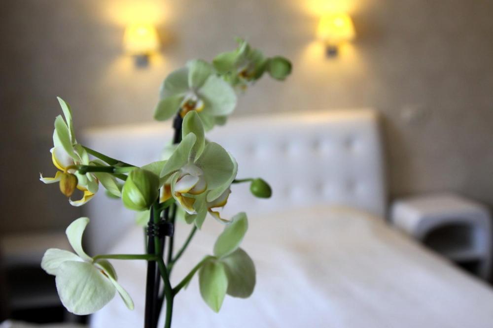 Hotel Felicia Рига Экстерьер фото